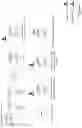 Fig. 09 - Liquid based selection and cell isolation
