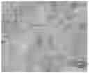 Fig. 01 - Vermicular cast iron alloy for internal combustion engine block and head
