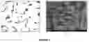 Fig. 02 - Vermicular cast iron alloy for internal combustion engine block and head