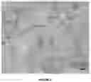 Fig. 03 - Vermicular cast iron alloy for internal combustion engine block and head