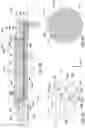 Fig. 05 - Optically transparent pedestal for fluidly supporting a substrate