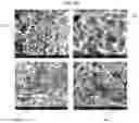 Fig. 06 - Methods and systems for production of doped carbon nanomaterials