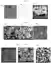 Fig. 07 - Methods and systems for production of doped carbon nanomaterials