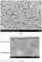 Fig. 05 - Plated material and manufacturing method therefor