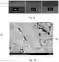 Fig. 06 - Plated material and manufacturing method therefor