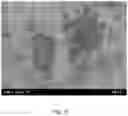 Fig. 19 - Plated material and manufacturing method therefor