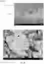 Fig. 28 - Plated material and manufacturing method therefor