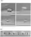 Fig. 06 - METHOD FOR THE ADHESION OF PARTICLES TO AN INERT SUBSTRATE