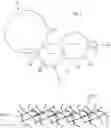 Fig. 03 - Fibrous webs having isotropic structure and apparatus and method for making same