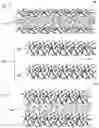 Fig. 08 - Fibrous webs having isotropic structure and apparatus and method for making same