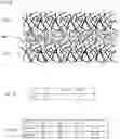 Fig. 12 - Fibrous webs having isotropic structure and apparatus and method for making same