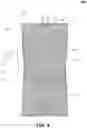 Fig. 09 - RECEPTACLE FOR ORGANIZING WHILE LAUNDERING GARMENT ITEMS