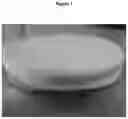Fig. 02 - Microfibrillated cellulose foams