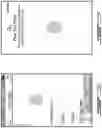 Fig. 14 - PADLOCK