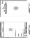 Fig. 14 - Padlock