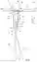 Fig. 11 - MOUNTING SYSTEM FOR A VERTICAL CELLULAR DRAPE AND A RELATED COVERING ASSEMBLY