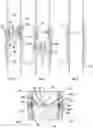 Fig. 07 - Degradable plug device for a pipe