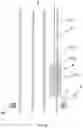 Fig. 06 - Downhole power delivery