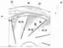 Fig. 01 - Blades Having S-Shaped Profile in the Flow Direction for Radial-Type Impellers