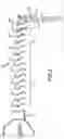 Fig. 05 - Cascade array vanes with assembly features