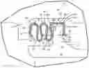 Fig. 01 - Seal with integral assembly clip and method of sealing