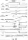 Fig. 20 - Control system for compression ignition engine