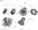 Fig. 02 - Water pump including supporting structure for impeller