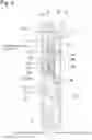 Fig. 05 - Shock absorber
