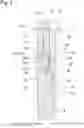 Fig. 08 - Shock absorber