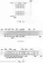 Fig. 12 - LED tube lamp
