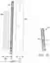 Fig. 04 - METHOD AND APPARATUS FOR ILLUMINATING EXTERNAL SURFACE OF AN INFLATABLE STRUCTURE