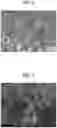 Fig. 05 - WICK, LOOP HEAT PIPE, COOLING DEVICE, ELECTRONIC DEVICE, METHOD OF MANUFACTURING POROUS BODY, AND METHOD OF MANUFACTURING WICK