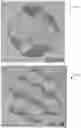 Fig. 04 - MINIMAL SURFACE HEAT EXCHANGER