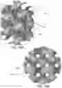 Fig. 24 - MINIMAL SURFACE HEAT EXCHANGER