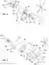 Fig. 07 - Devices for restricting the flow of propellant gas in gas-actuated firearms