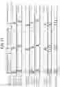 Fig. 12 - Electromagnetic wave detection apparatus, program, and electromagnetic wave detection system comprising a controller to update related information associating an emission direction and two elements defining two points on a path of electromagnetic waves