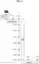 Fig. 09 - Lidar system and autonomous driving system using the same