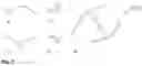 Fig. 05 - Method and device for reducing intermediate points in a polygon