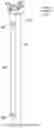 Fig. 07 - Dielectric-constant-insensitive fluid level sensor