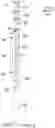 Fig. 09 - Dielectric-constant-insensitive fluid level sensor