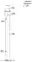 Fig. 10 - Dielectric-constant-insensitive fluid level sensor
