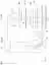 Fig. 02 - Optical analysis device, optical analysis method, and recording medium