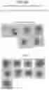 Fig. 10 - Dynamic range extension systems and methods for particle analysis in blood samples