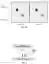 Fig. 04 - MULTIPLEX BEAD ARRAY ASSAY