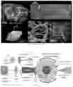 Fig. 02 - Surface ablation lathe tomography (SALT) systems and methods for whole organ phenotyping