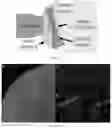 Fig. 03 - Surface ablation lathe tomography (SALT) systems and methods for whole organ phenotyping