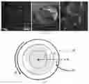 Fig. 04 - Surface ablation lathe tomography (SALT) systems and methods for whole organ phenotyping