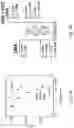 Fig. 07 - Polymer-coating of electrodes for sensor devices