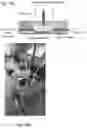 Fig. 08 - Polymer-coating of electrodes for sensor devices