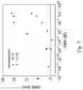 Fig. 16 - Polymer-coating of electrodes for sensor devices